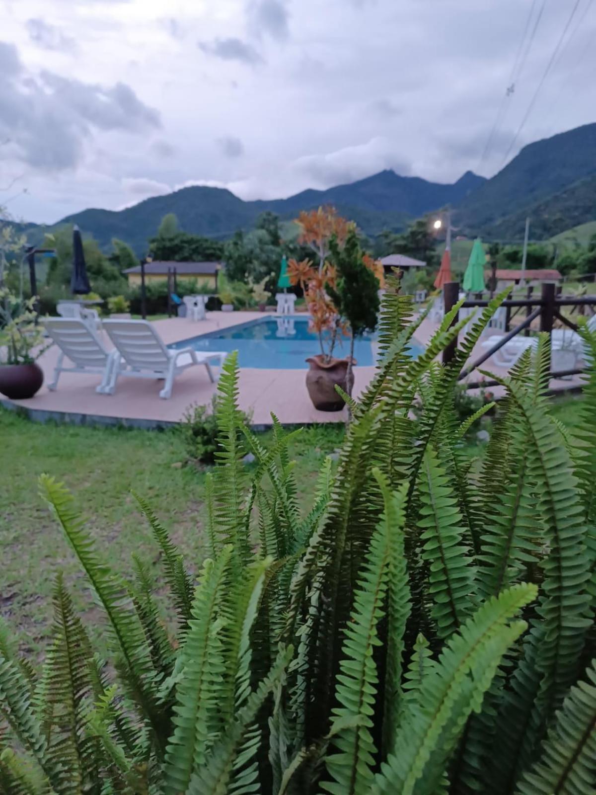 Pousada Sitio Da Floresta サーナ エクステリア 写真